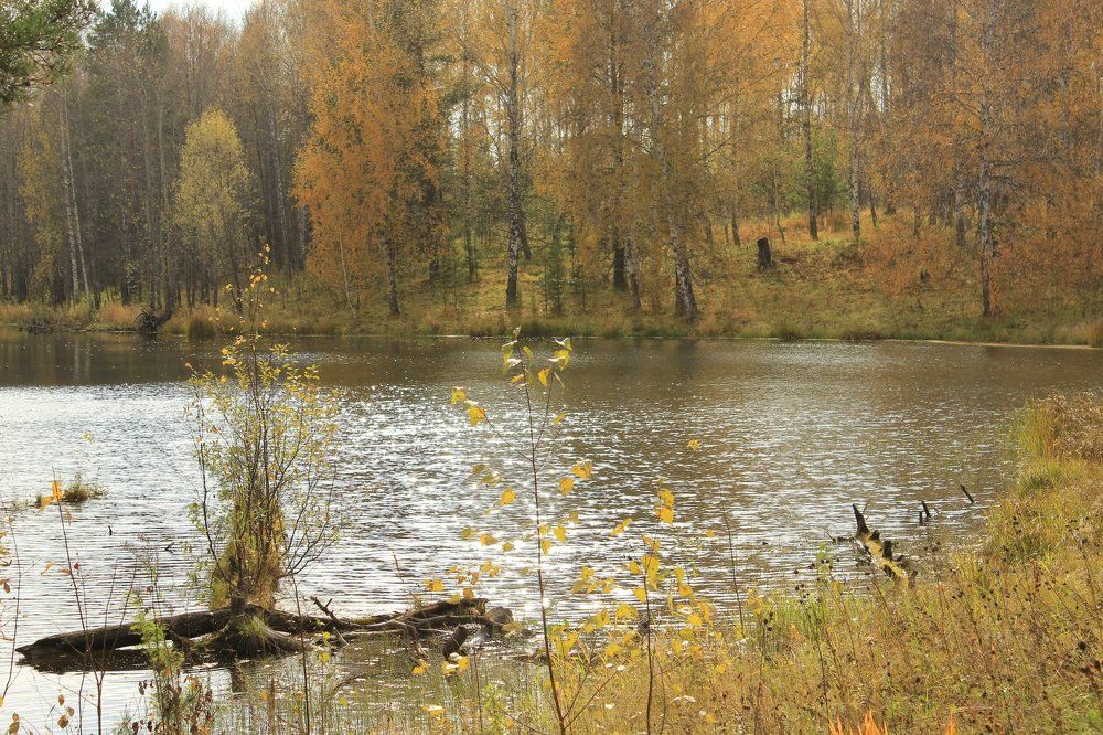 Желание жить.