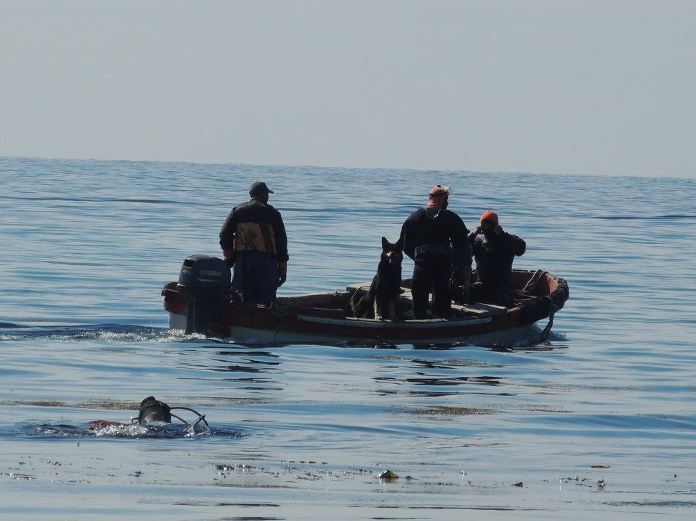 Добытчики Сахалина