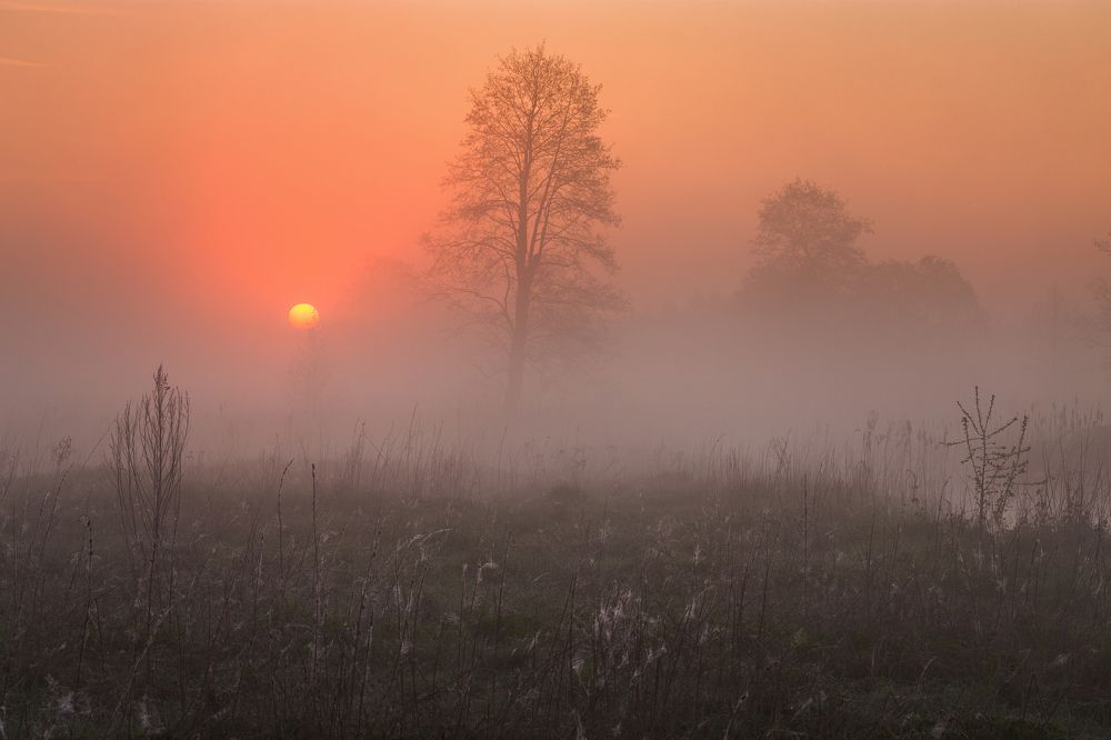 Утро просыпается