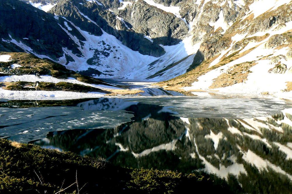 spring mountain