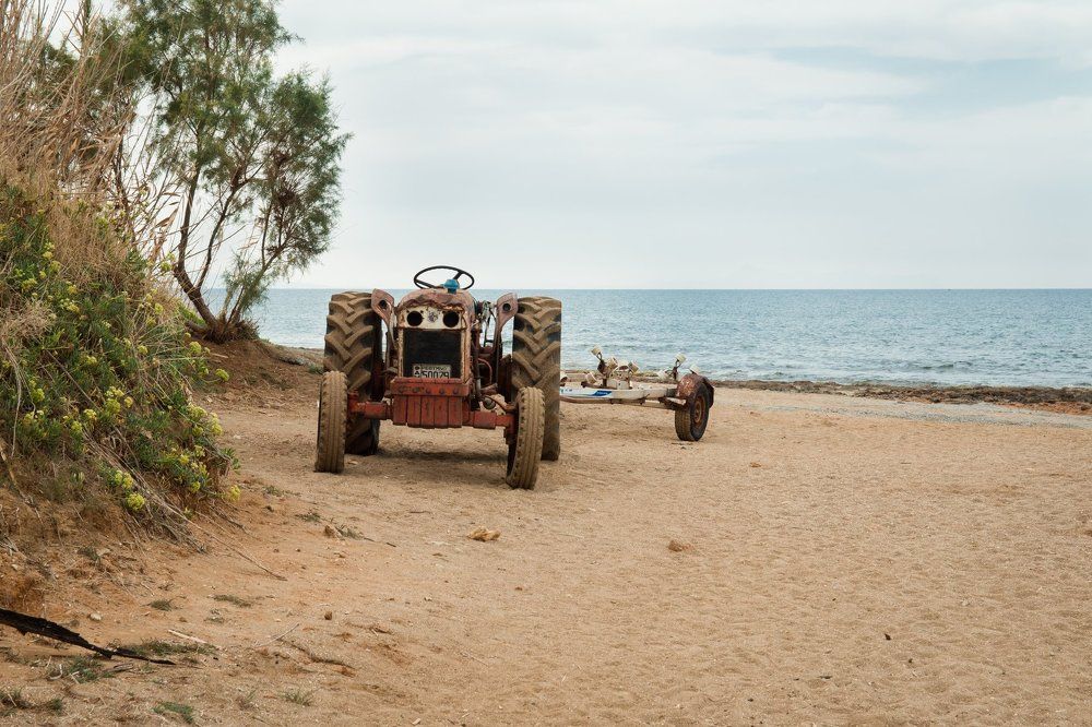 Photograph by Елена Неведицына