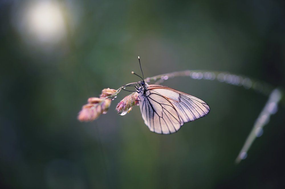 После дождя