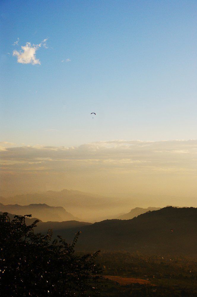The flight
