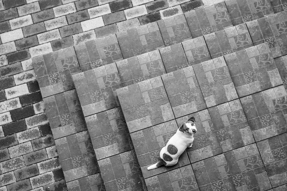 Миниатюра в геометрии