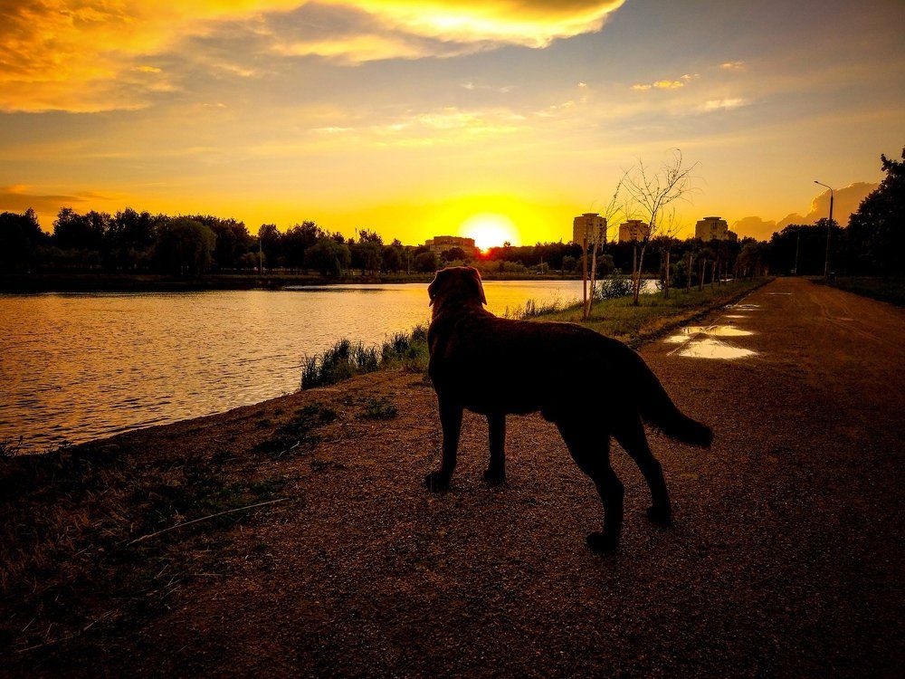 Photograph by Святослав Завгородний