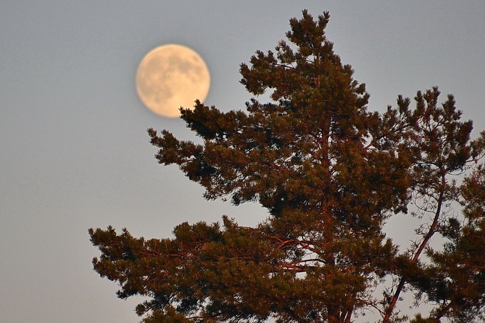 полнолуние