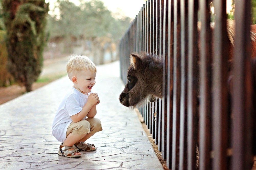 Photograph by Александра Васильевна Смыкалова