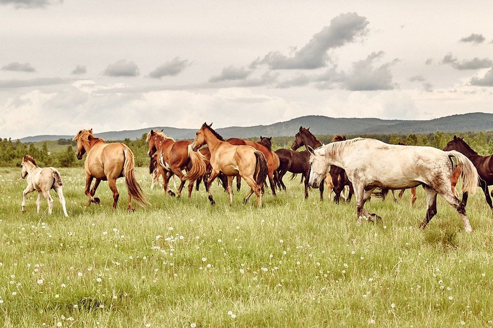 Photograph by Виктор Гершен