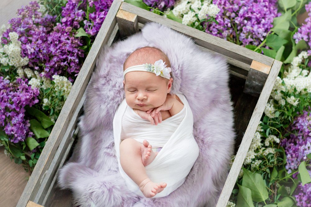 В стране чудес