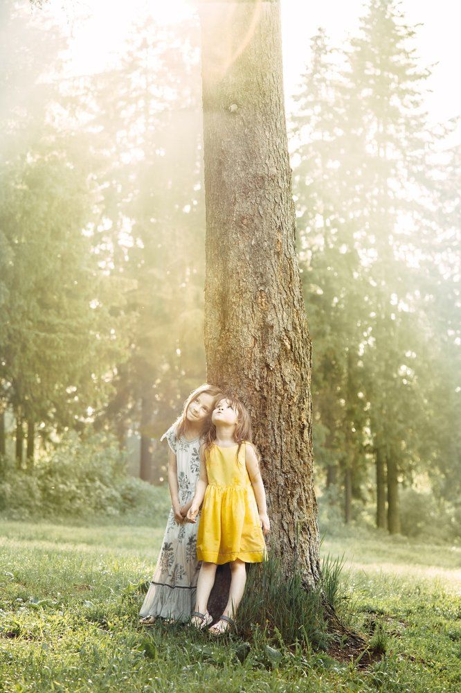 После летнего дождя