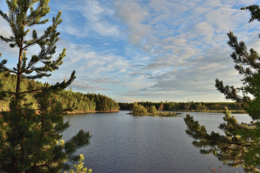 На просторах!