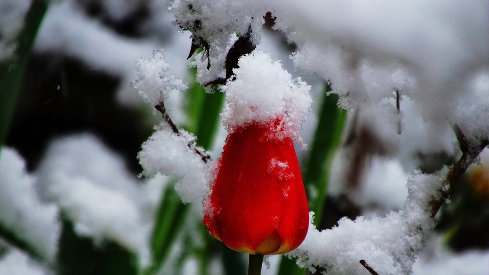 Хорошая погода.