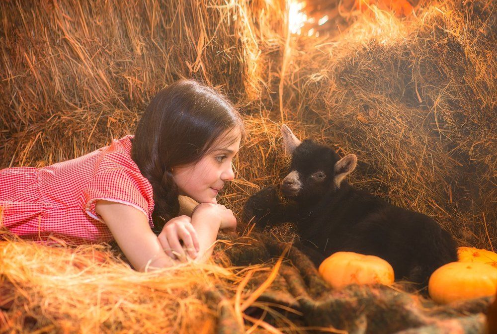 С маленьким другом!