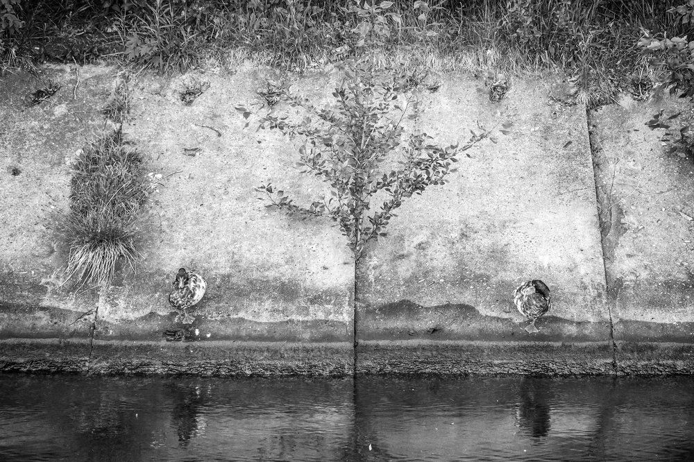Photograph by Яковлев Андрей