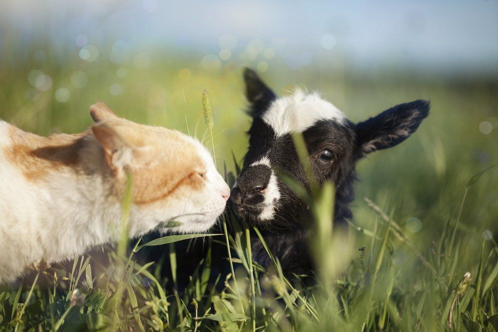 Знакомство