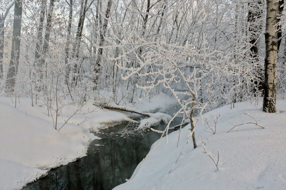 Незамерзайка