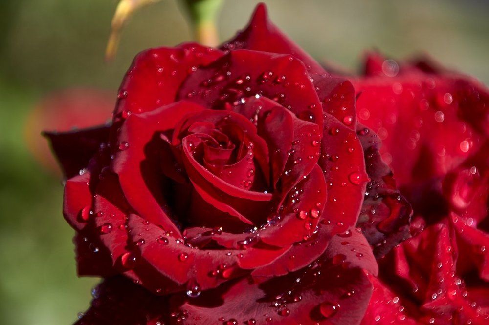 Photograph by Евгений Лобойко