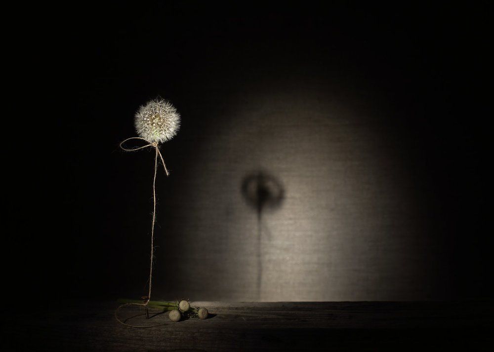 Одинокий шарик