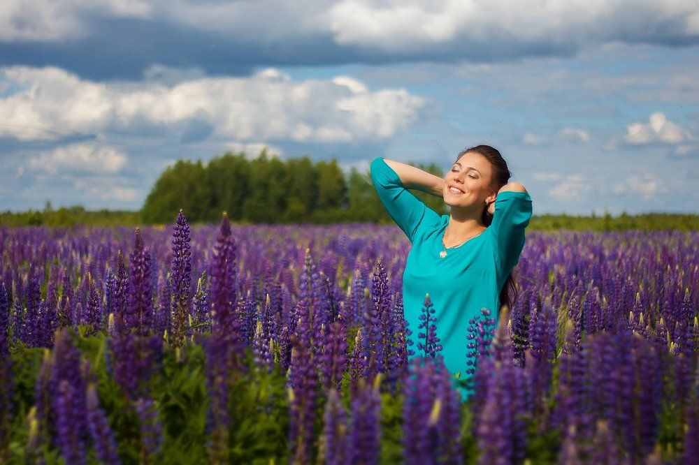 Солнечные люпины