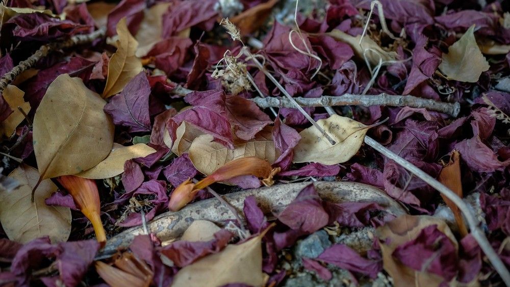 Would you clean this please