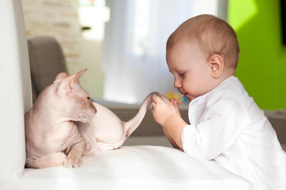 сейчас я тебя надую