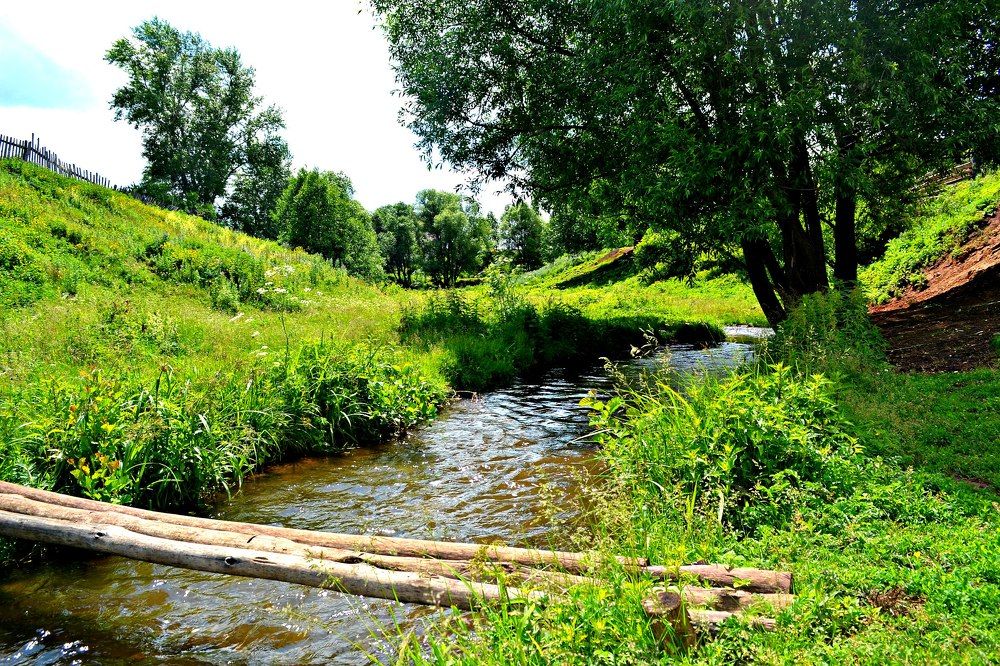 Photograph by Елена
