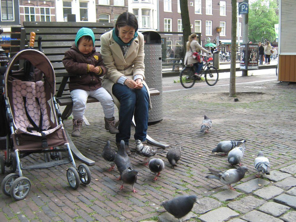 Feeding the birds