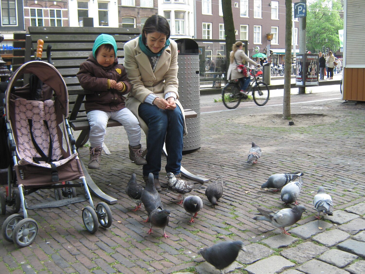 Feeding the birds