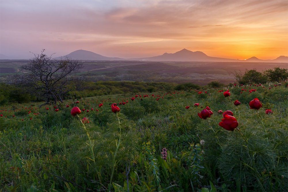 Затихли горы в ожидании...