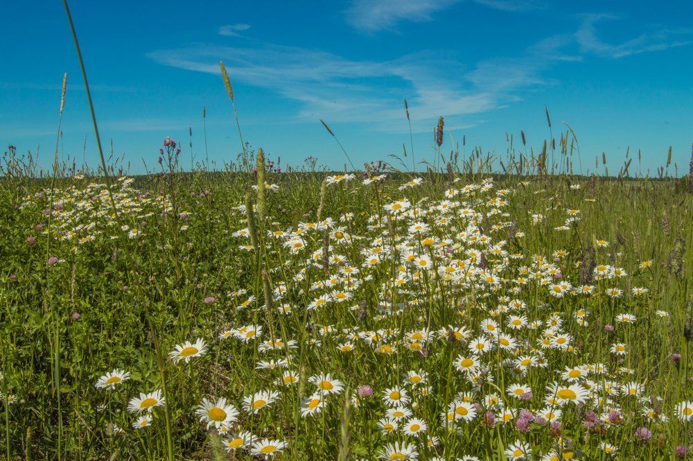 Photograph by Татьяна Боталова