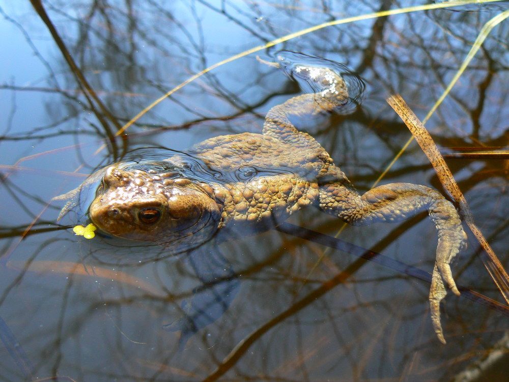 Photograph by Татьяна Загаринская