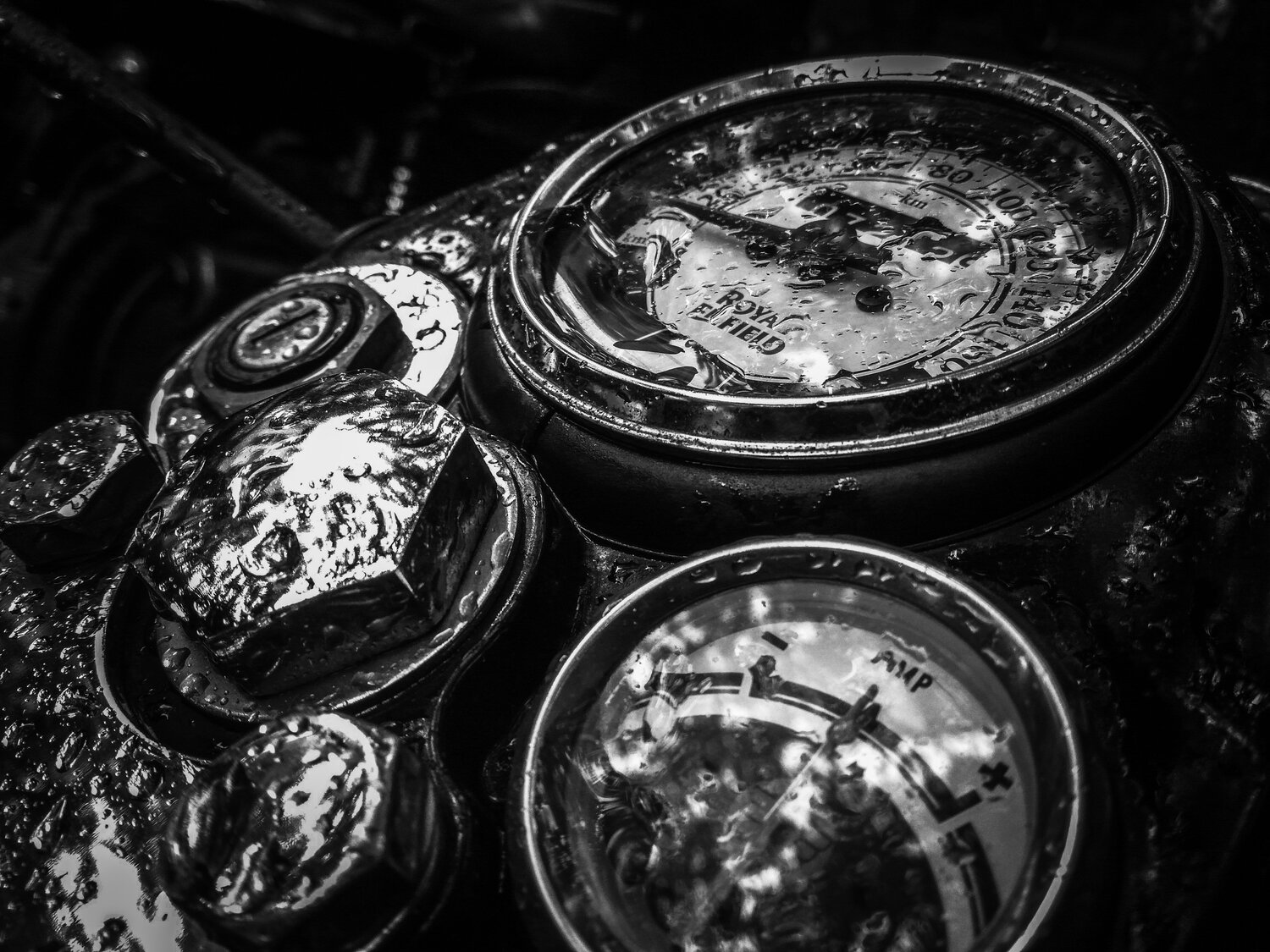 Photo #1822830