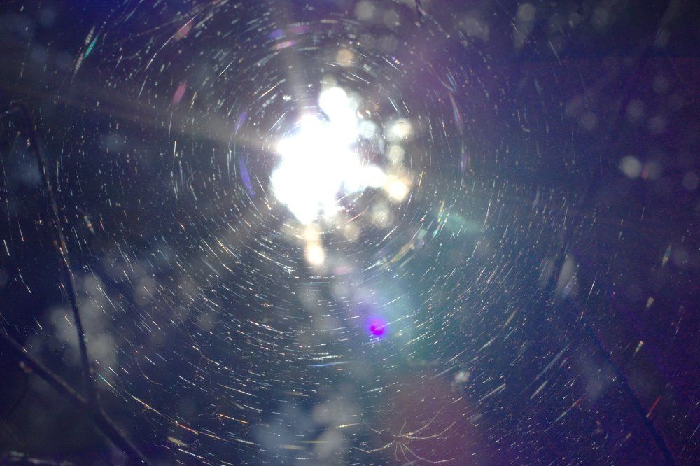 лесной космос