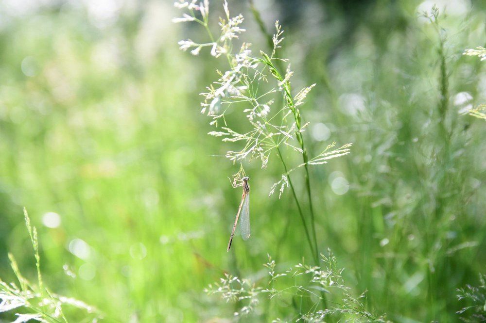 Photograph by Alexey Smal