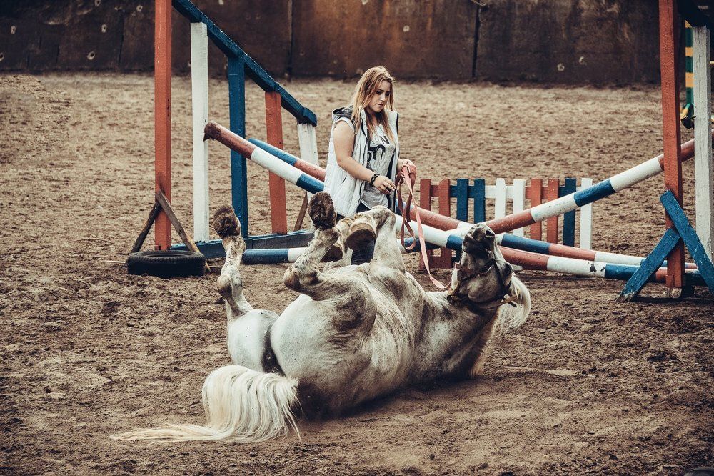 Почеши пузико