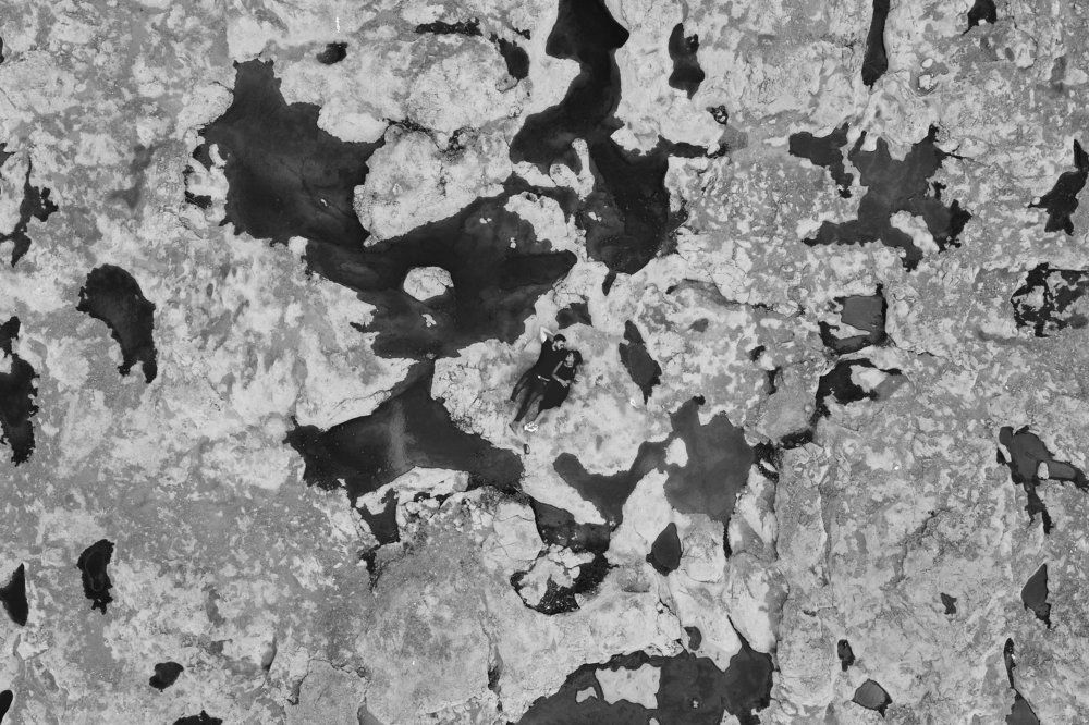 "Tow Belongs To One"