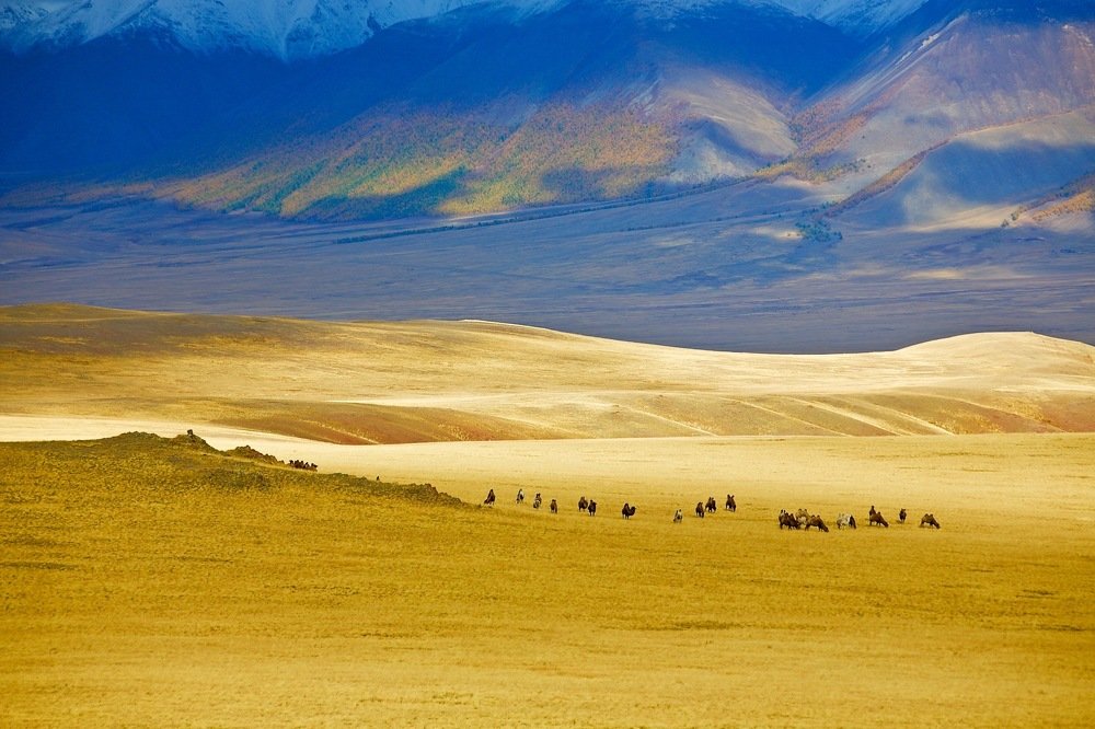 Златые горы.