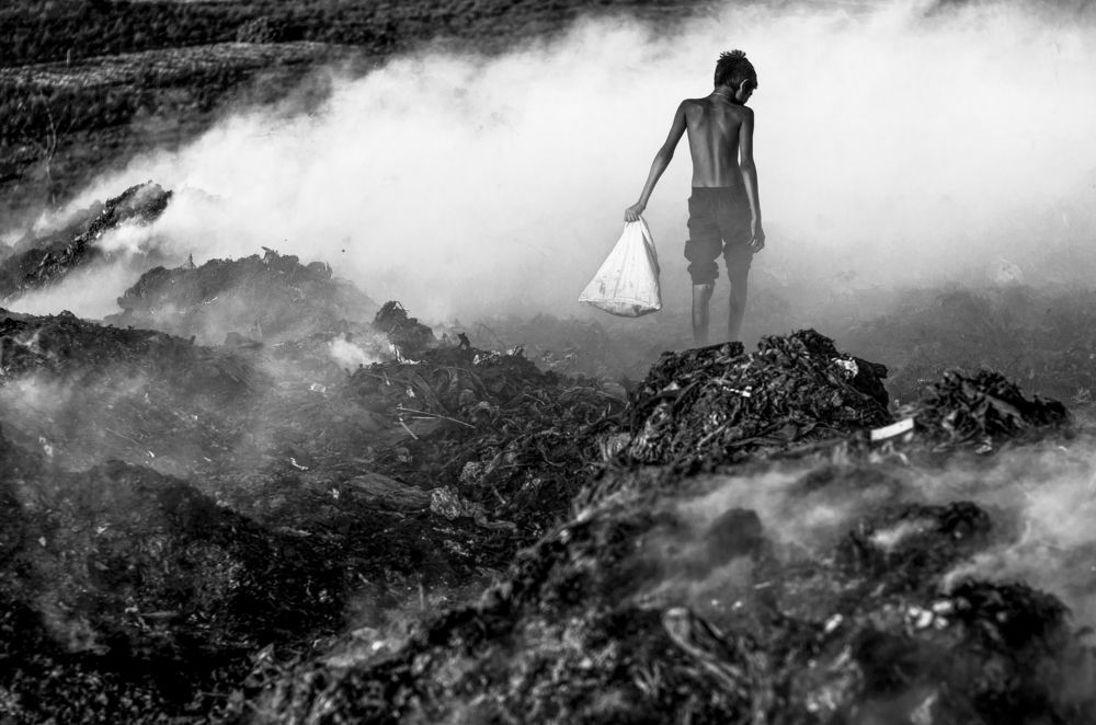 Through The Apocalypse