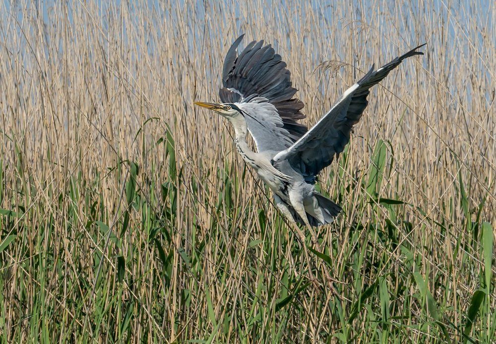 Photograph by Viktor Makarov