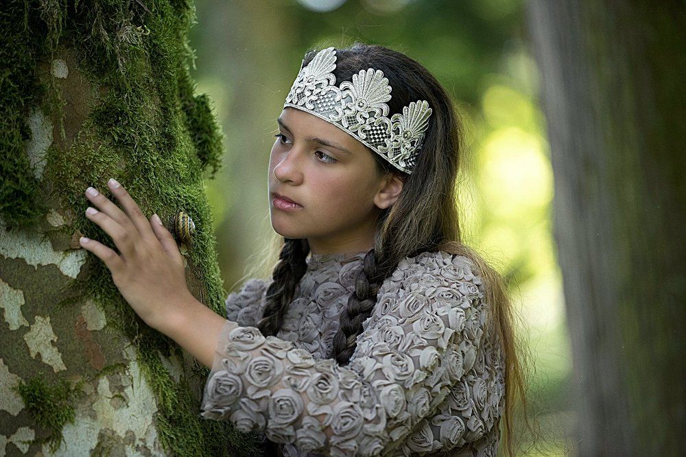 Сказки затерянного леса