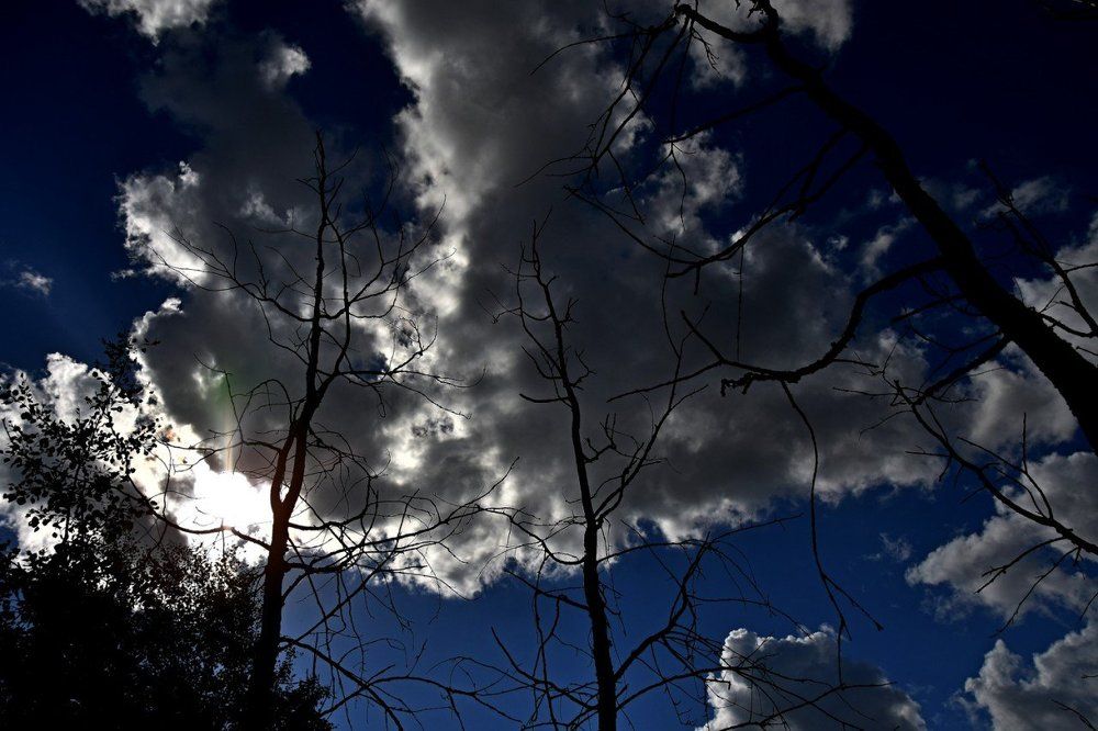 Photograph by Alexey Smal