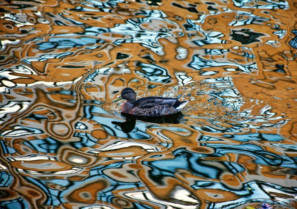 Утиная абстракция