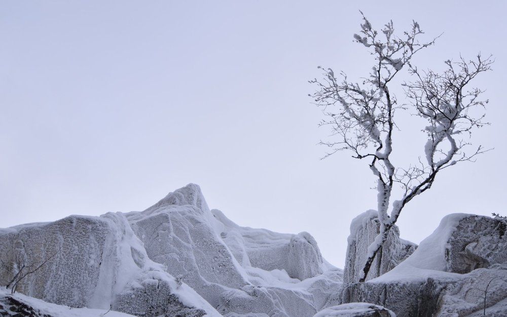Не смотря ни на что
