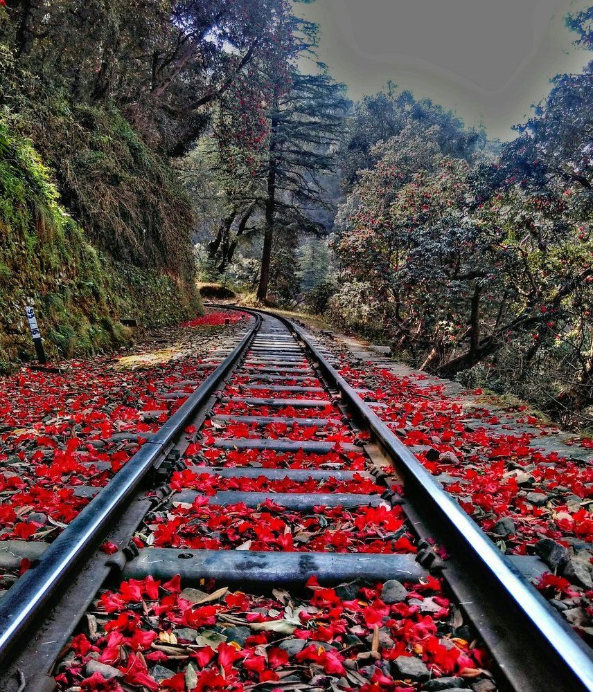 Beautiful railway track