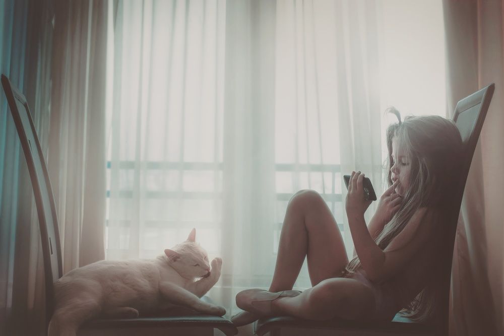 Вечерняя идиллия