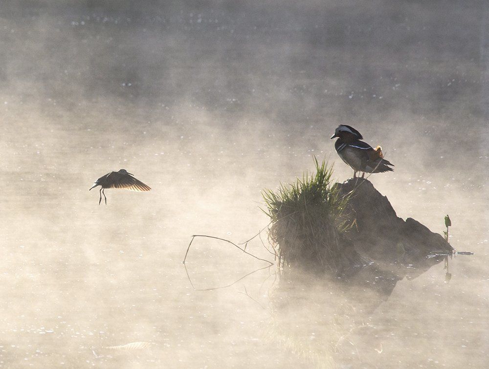Восточная мелодия