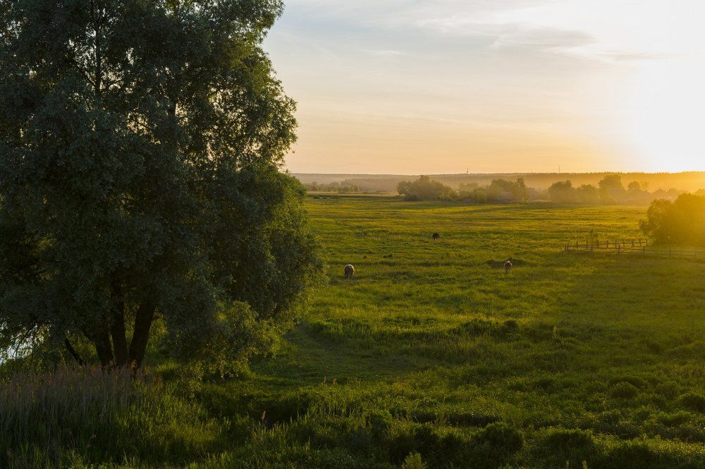 Закаты на Мже