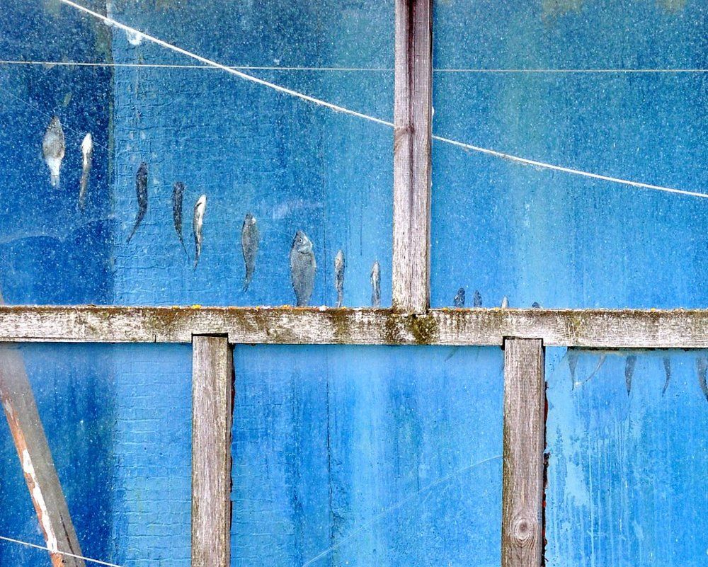 Photograph by Степанов Евгений