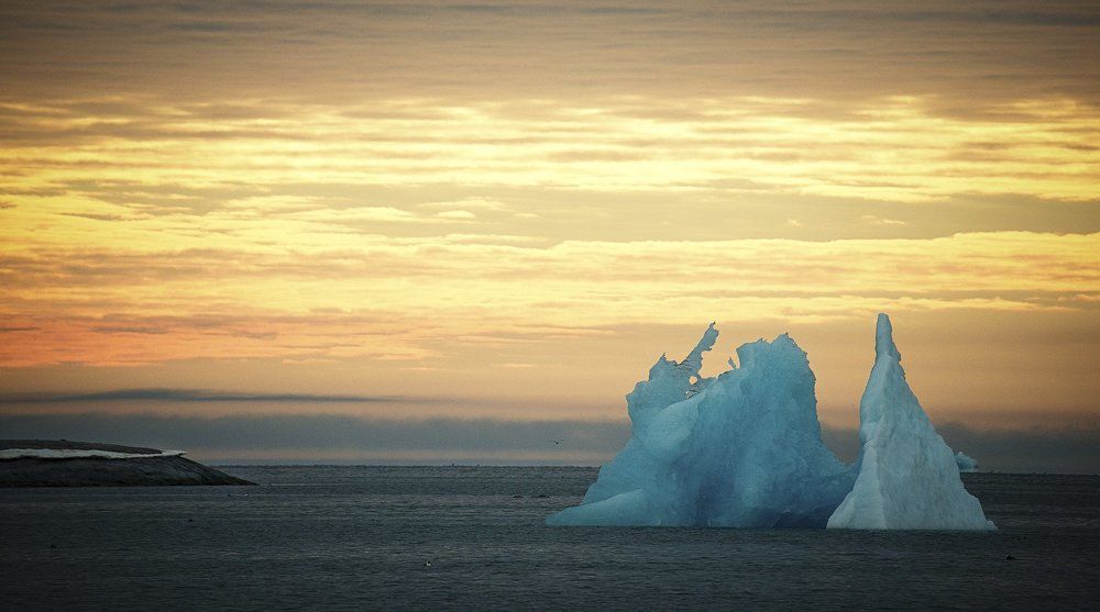 Арктический скиталец