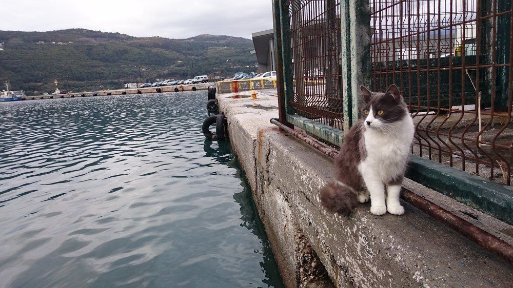 Waiting for those who had left